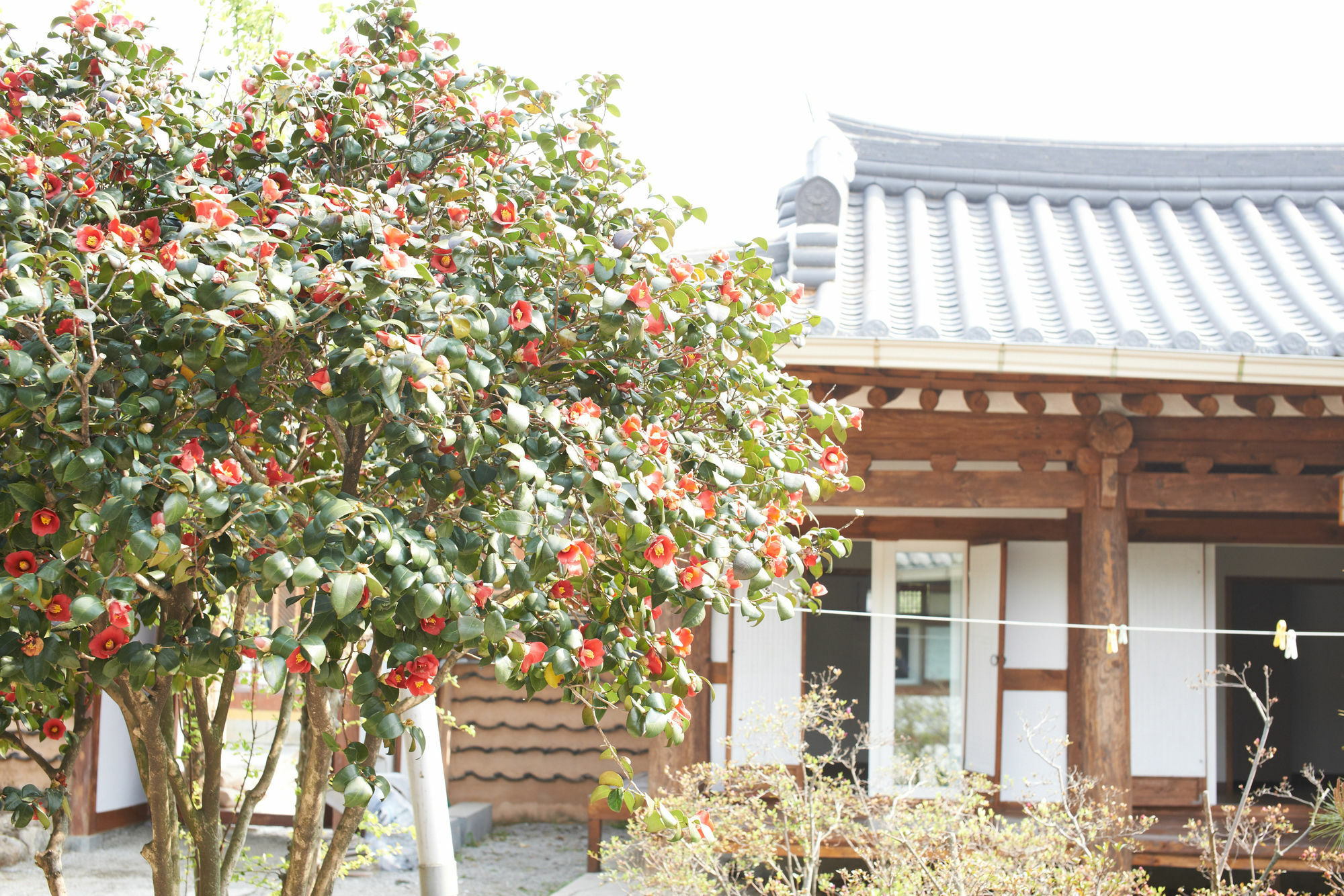 Sodamwon Jeonju Exterior foto