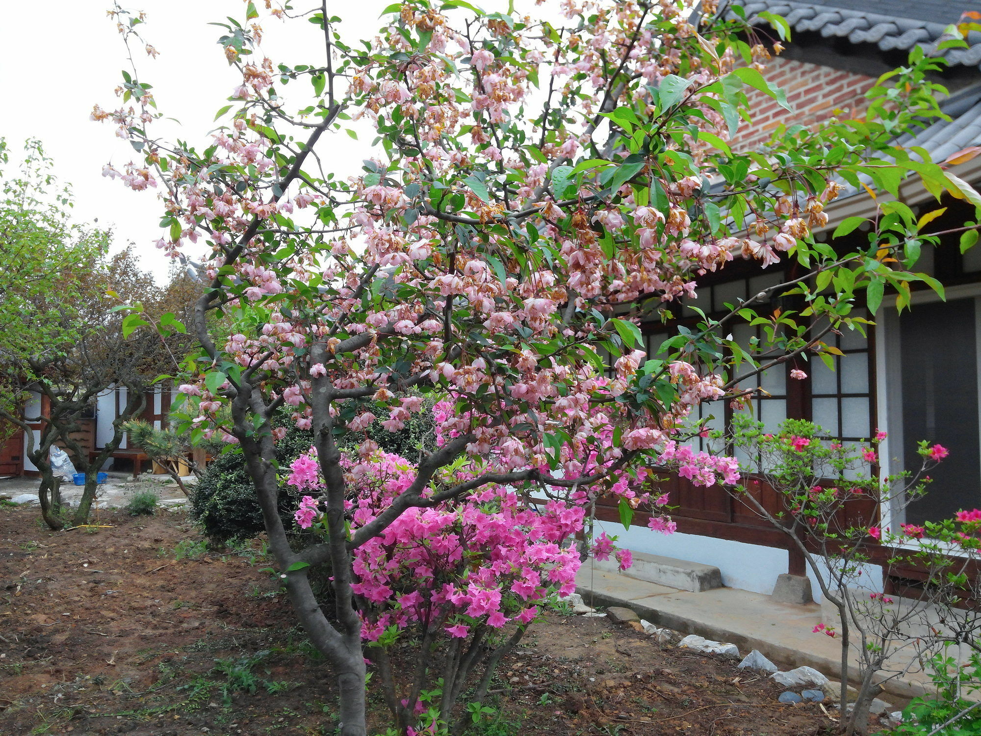 Sodamwon Jeonju Exterior foto